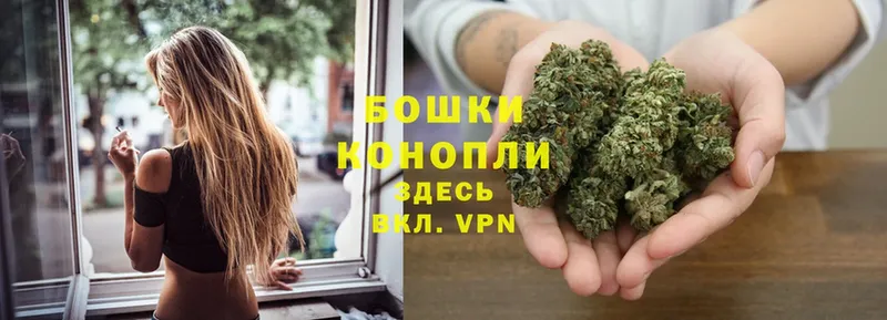 дарк нет официальный сайт  Губкин  Марихуана OG Kush  как найти закладки 